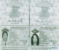 黑龍江天天出入境服務(wù)有限責(zé)任公司 專業(yè)高效，助力全球業(yè)務(wù)暢行無阻