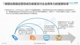 2017年第三方支付行業報告 洞察行業發展，把握未來機遇