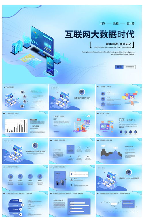 互聯(lián)網(wǎng)大數(shù)據(jù)時(shí)代的數(shù)據(jù)服務(wù)商業(yè)計(jì)劃書(shū)產(chǎn)品介紹